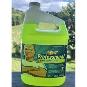 Floor Cleaner from Mr. Clean Professional, No-Rinse Ready to Use Cleaner 3.78 L